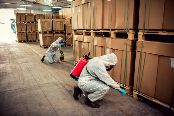 Best Pest Control Near Me  in Mineola, TX