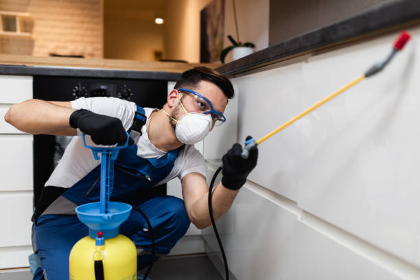 Best Mosquito Control Services  in Mineola, TX