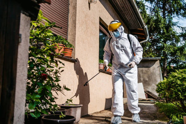 Best Rat Extermination Near Me  in Mineola, TX