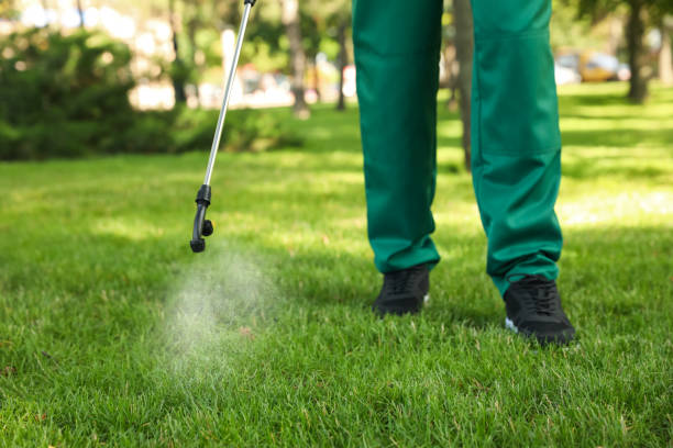 Best Pest Prevention Services  in Mineola, TX