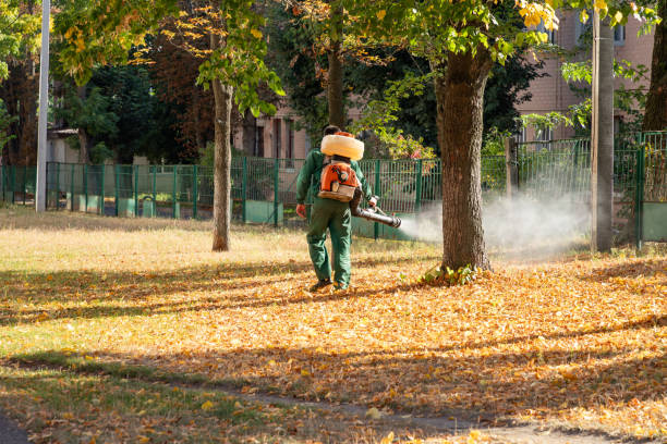 Best Rodent Control Near Me  in Mineola, TX
