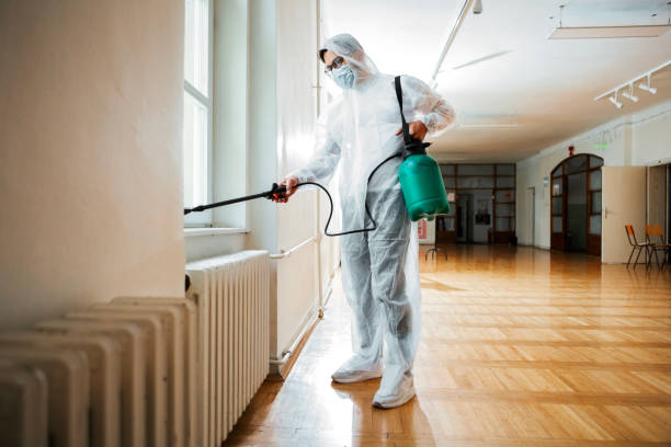Insect Control in Mineola, TX