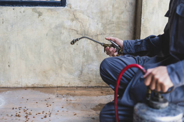 Best Pest Inspection Near Me  in Mineola, TX